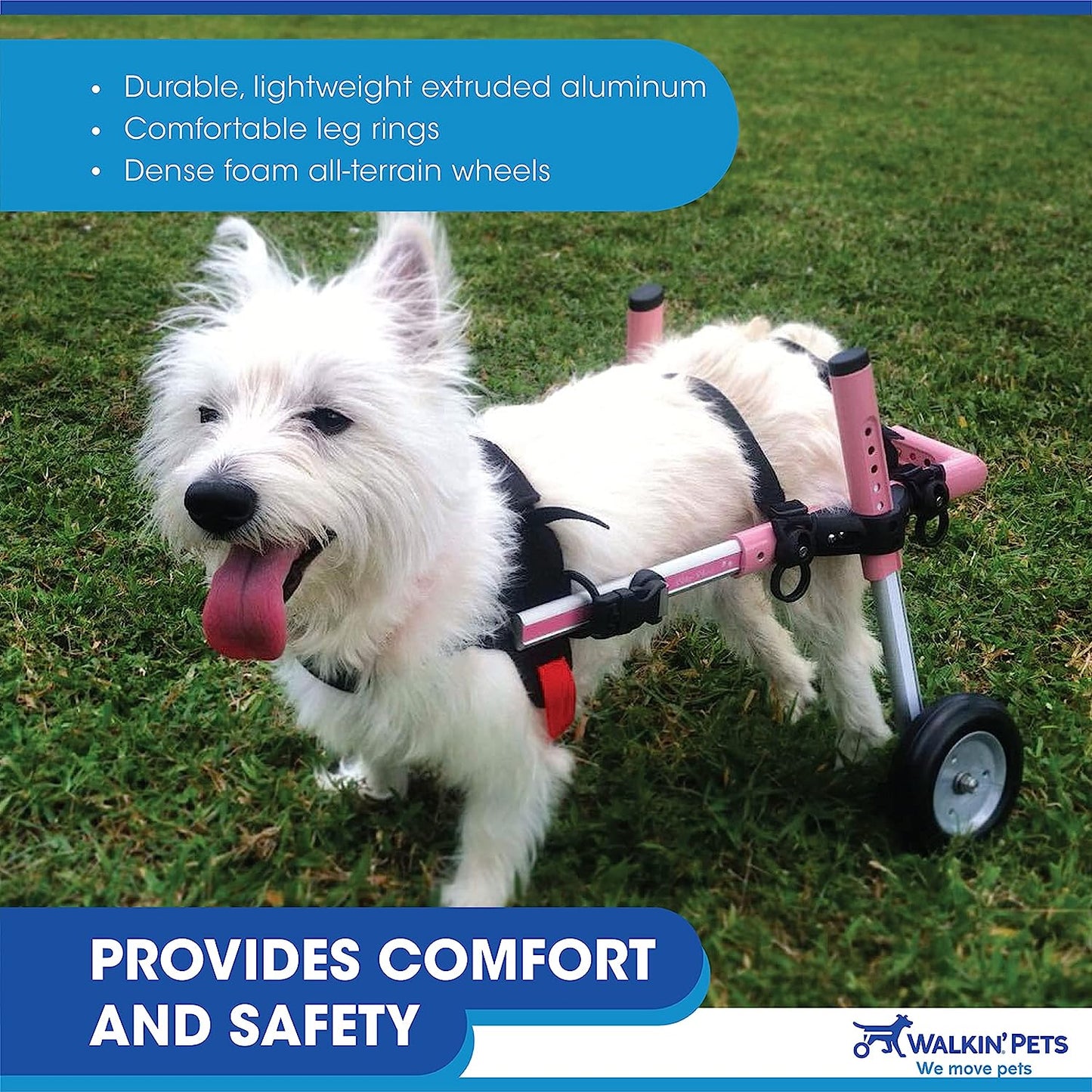 Donate to Us Dog Wheelchair - for Small Dogs 11-25 Pounds - Veterinarian Approved - Dog Wheelchair for Back Legs