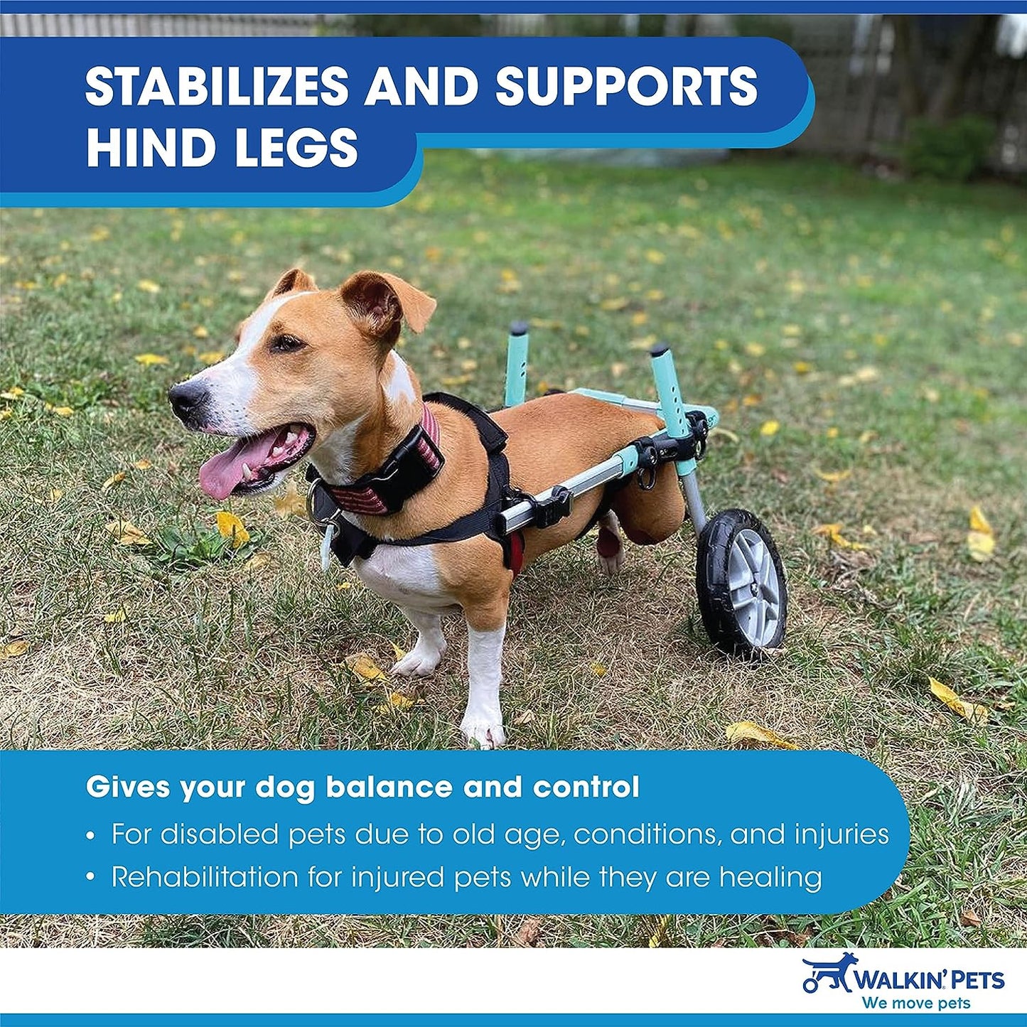 Donate to Us Dog Wheelchair - for Small Dogs 11-25 Pounds - Veterinarian Approved - Dog Wheelchair for Back Legs